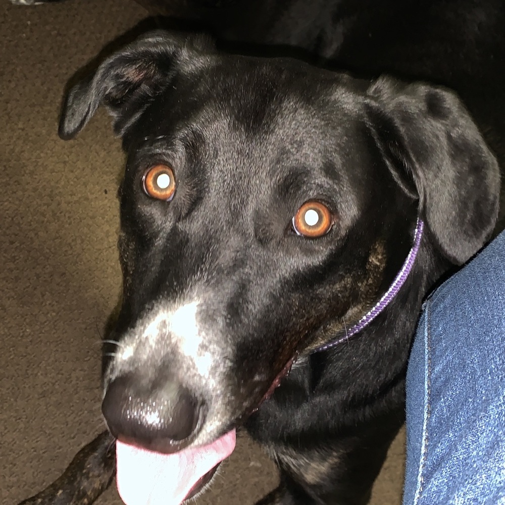 Meet your Posher, Andrea